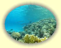 IMG_2007_05_30 13_55_58 * 2158 x 1618 * (512KB)